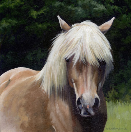 pony.jpg
